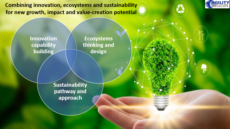 Making Transition Through Innovation, Ecosystem And Sustainable ...