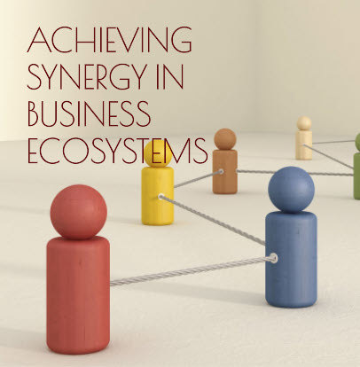 Achieving Synergy And Orchestration In The Business Ecosystem Of The ...